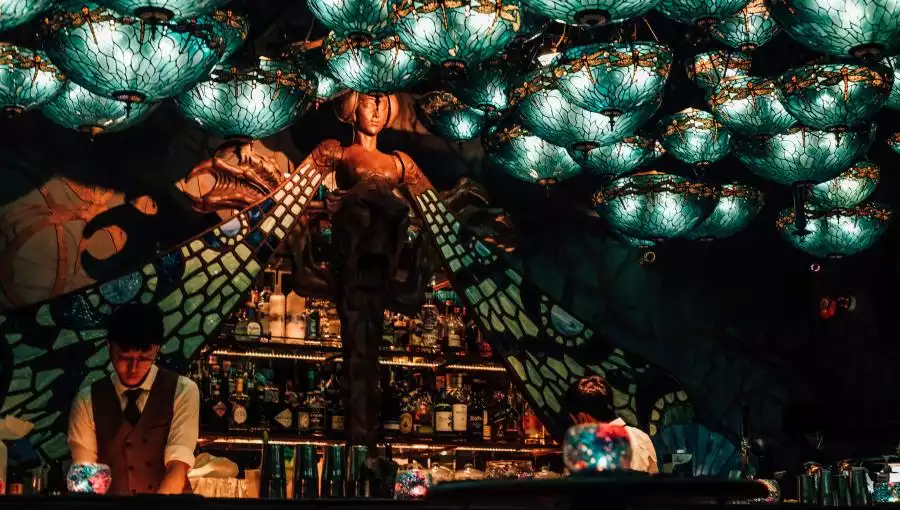 INSTAGRAMMABLE DRAGONFLY BAR
