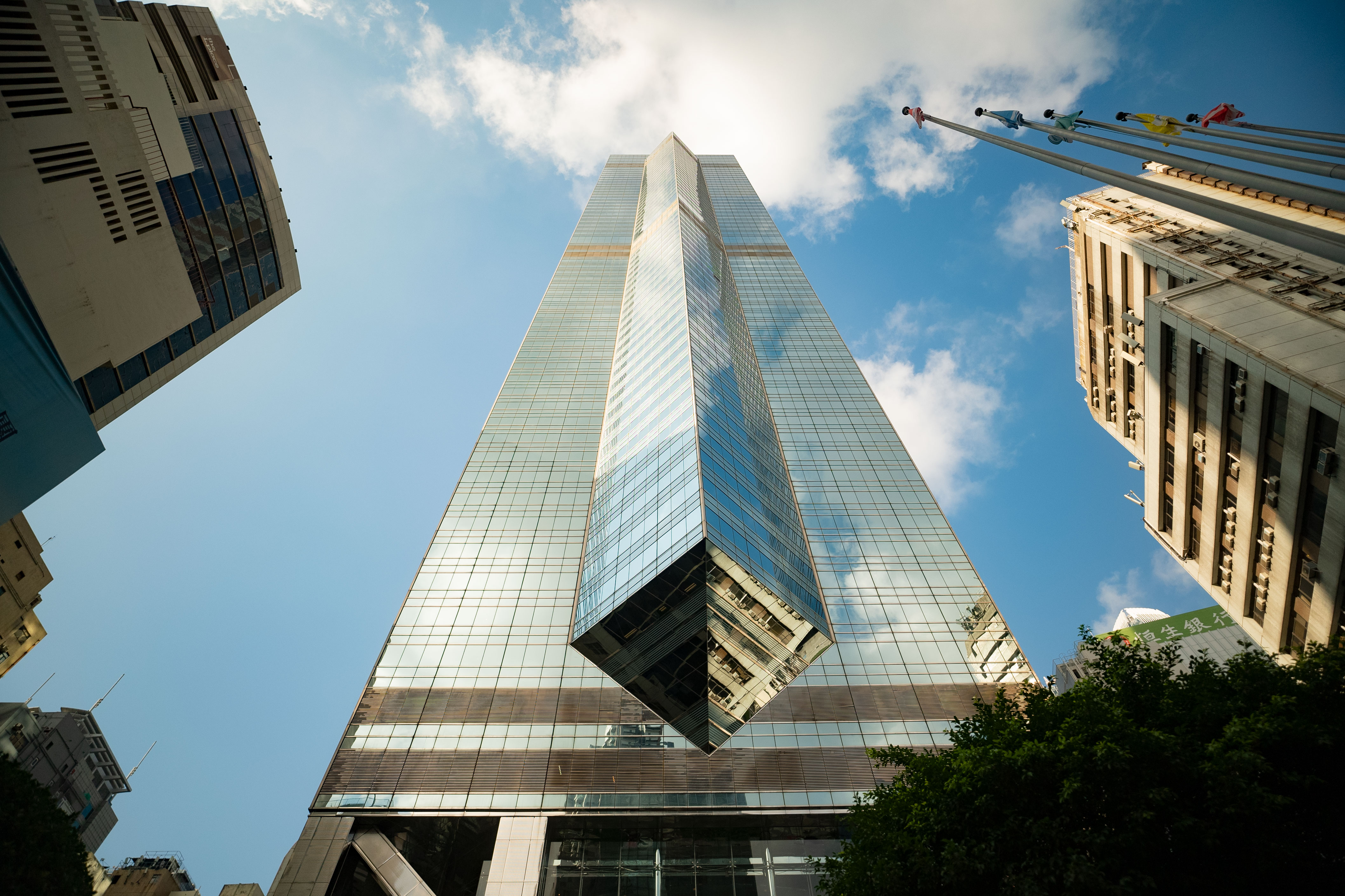 The Center - A Chameleon in the Concrete Jungle