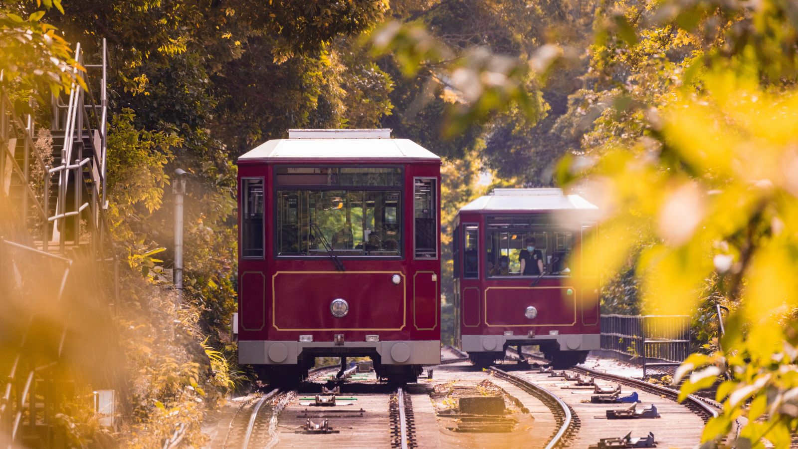 Old style tram in fall season 
