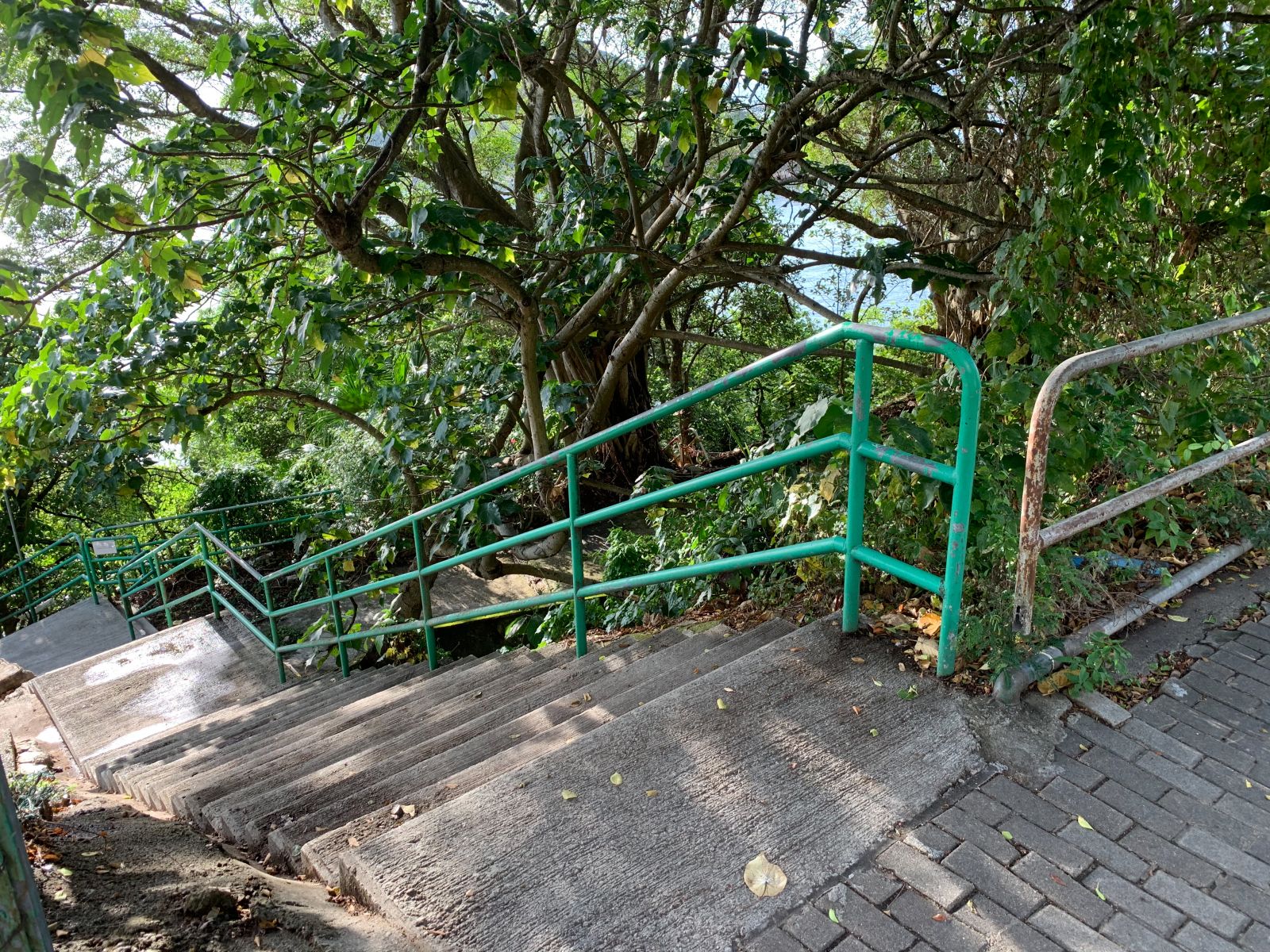 Turn left and walk along the hiking trail then you will see the swimming shed