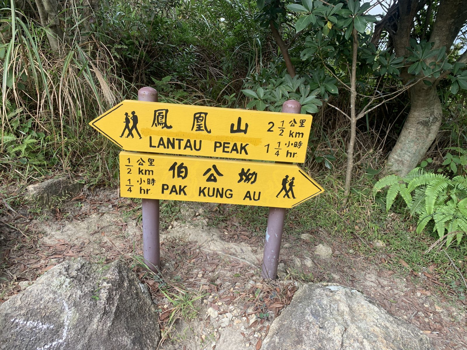 Find this sign and walk along the Lantau trail