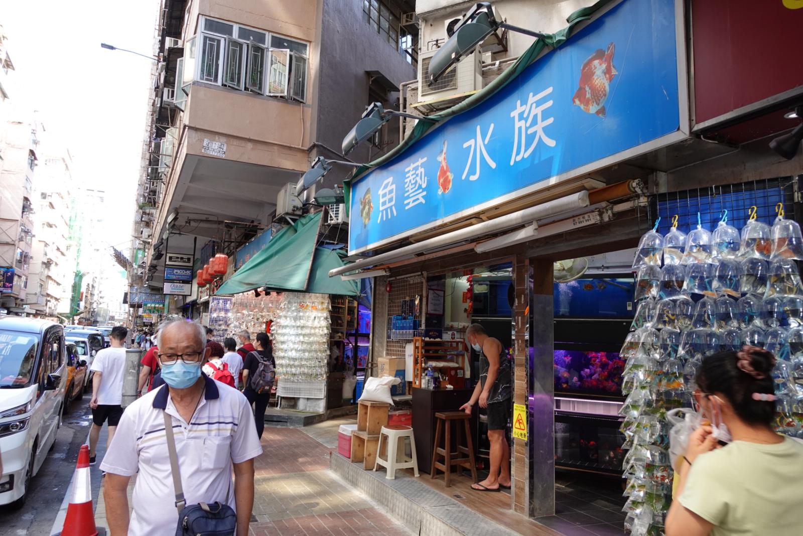 The goldfish market