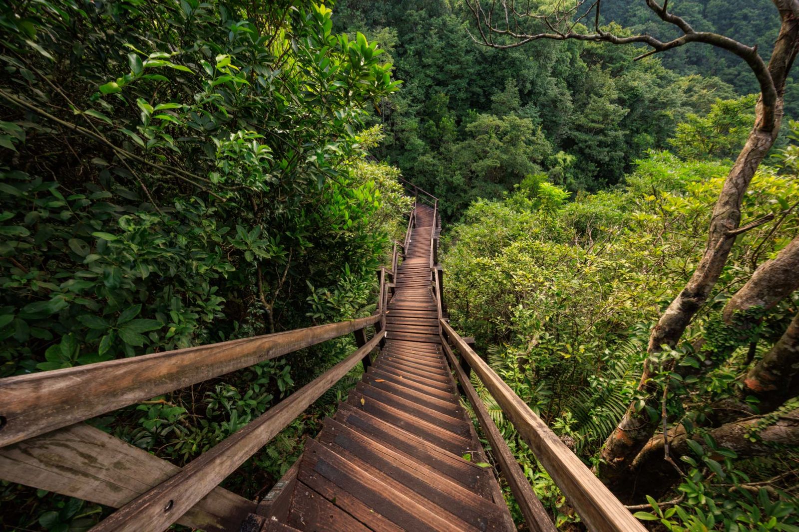 Stairways to Heaven