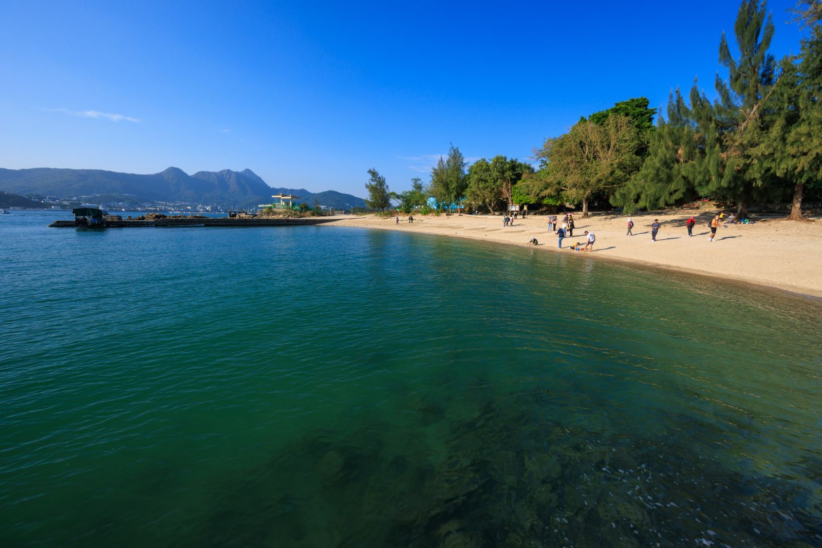 Try snorkeling and exploring the marine life on Sharp Island