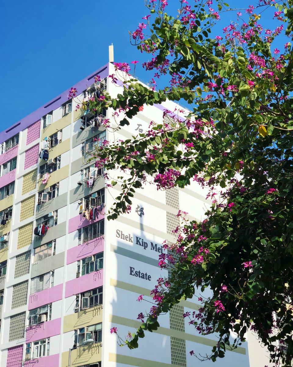 Shek Kip Mei Estate - Next to Mei Ho House 