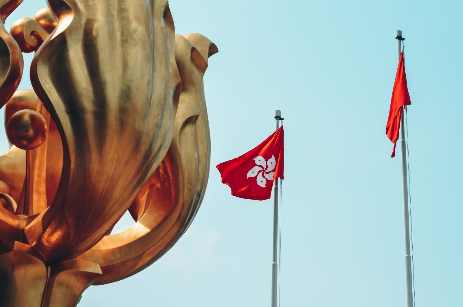 a giant sculpture of a blooming Bauhinia